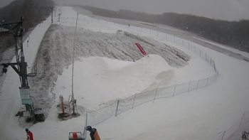 Ведмежа 8 березня 2021 року, 2021-03-08 16:00