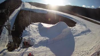 Ведмежа 9 березня 2021 року, 2021-03-09 16:00