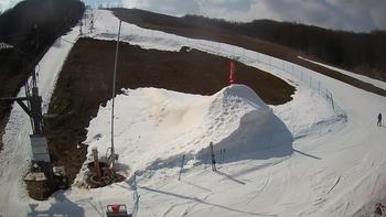 Ведмежа 11 березня 2021 року, 2021-03-11 13:00
