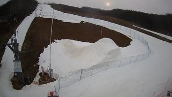 Ведмежа 11 березня 2021 року, 2021-03-11 16:00