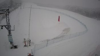 Ведмежа 12 березня 2021 року, 2021-03-12 10:00