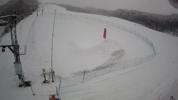 Ведмежа 12 березня 2021 року, 2021-03-12 13:00