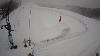 Ведмежа 12 березня 2021 року, 2021-03-12 16:00