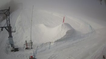 Ведмежа 13 березня 2021 року, 2021-03-13 10:00