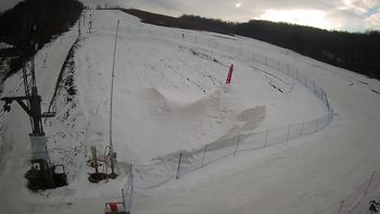Ведмежа 13 березня 2021 року, 2021-03-13 16:00