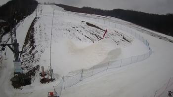 Ведмежа 14 березня 2021 року, 2021-03-14 10:00