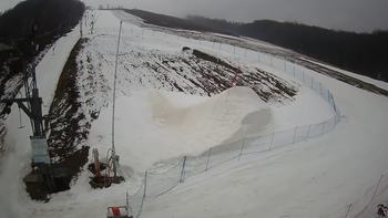 Ведмежа 14 березня 2021 року, 2021-03-14 13:00