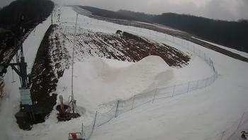 Ведмежа 14 березня 2021 року, 2021-03-14 16:00