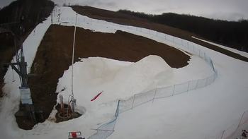 Ведмежа 15 березня 2021 року, 2021-03-15 16:00