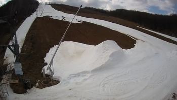 Ведмежа 19 березня 2021 року, 2021-03-19 13:00