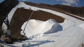 Ведмежа 20 березня 2021 року, 2021-03-20 10:00