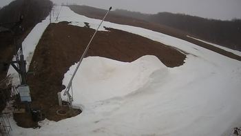 Ведмежа 22 березня 2021 року, 2021-03-22 10:00