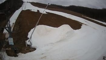 Ведмежа 23 березня 2021 року, 2021-03-23 16:00