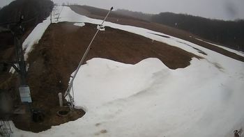 Ведмежа 28 березня 2021 року, 2021-03-28 10:00