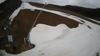 Ведмежа 29 березня 2021 року, 2021-03-29 16:00