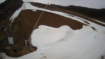 Ведмежа 30 березня 2021 року, 2021-03-30 13:00