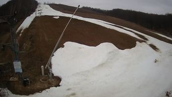 Ведмежа 31 березня 2021 року, 2021-03-31 10:00