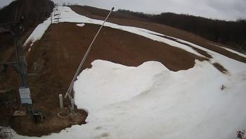 Ведмежа 31 березня 2021 року, 2021-03-31 13:00