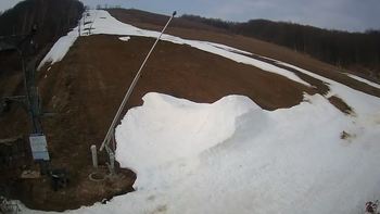 Ведмежа 1 квітня 2021 року, 2021-04-01 10:00