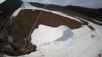 Ведмежа 1 квітня 2021 року, 2021-04-01 13:00