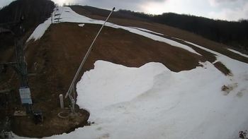 Ведмежа 1 квітня 2021 року, 2021-04-01 16:00