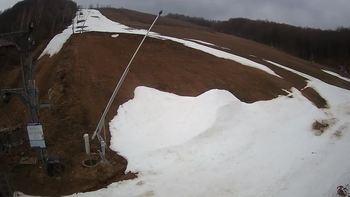 Ведмежа 2 квітня 2021 року, 2021-04-02 10:00