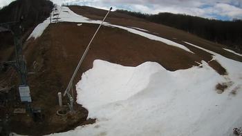 Ведмежа 2 квітня 2021 року, 2021-04-02 13:00