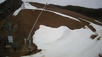 Ведмежа 3 квітня 2021 року, 2021-04-03 10:00