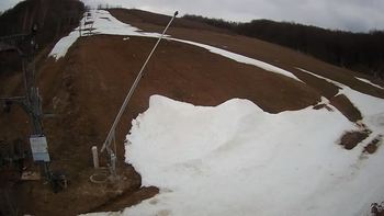 Ведмежа 3 квітня 2021 року, 2021-04-03 16:00