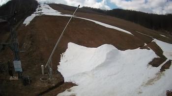 Ведмежа 5 квітня 2021 року, 2021-04-05 13:00