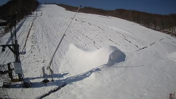 Ведмежа 7 квітня 2021 року, 2021-04-07 10:00