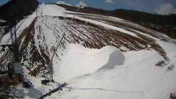 Ведмежа 7 квітня 2021 року, 2021-04-07 13:00