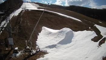 Ведмежа 7 квітня 2021 року, 2021-04-07 16:00