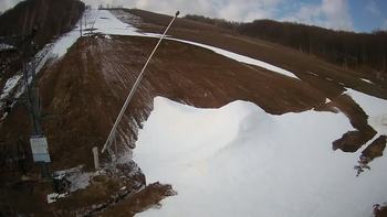 Ведмежа 8 квітня 2021 року, 2021-04-08 10:00