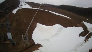 Ведмежа 9 квітня 2021 року, 2021-04-09 10:00