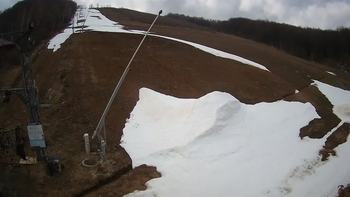 Ведмежа 9 квітня 2021 року, 2021-04-09 13:00