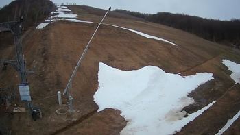 Ведмежа 13 квітня 2021 року, 2021-04-13 16:00