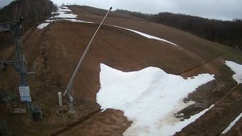 Ведмежа 14 квітня 2021 року, 2021-04-14 13:00