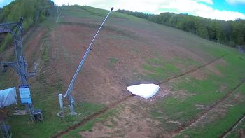 Ведмежа 8 травня 2021 року, 2021-05-08 10:00