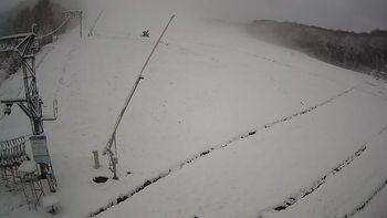 Ведмежа 1 грудня 2021 року, 2021-12-01 10:00