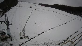 Ведмежа 1 грудня 2021 року, 2021-12-01 16:00