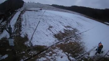 Ведмежа 9 грудня 2021 року, 2021-12-09 16:00