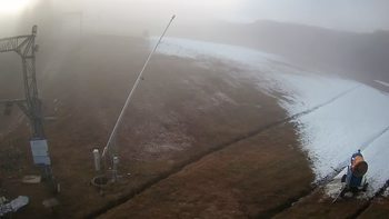 Ведмежа 11 грудня 2021 року, 2021-12-11 13:00