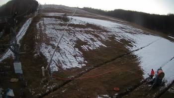 Ведмежа 14 грудня 2021 року, 2021-12-14 16:00
