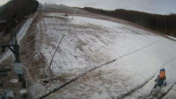 Ведмежа 15 грудня 2021 року, 2021-12-15 10:00