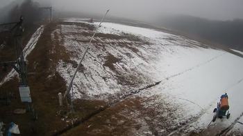Ведмежа 16 грудня 2021 року, 2021-12-16 10:00