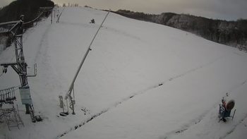 Ведмежа 20 грудня 2021 року, 2021-12-20 10:00