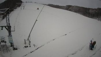 Ведмежа 20 грудня 2021 року, 2021-12-20 13:00