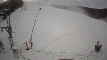 Ведмежа 21 грудня 2021 року, 2021-12-21 13:00