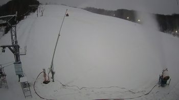 Ведмежа 21 грудня 2021 року, 2021-12-21 16:00